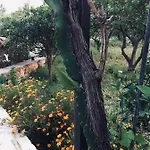 Wabi Sabi