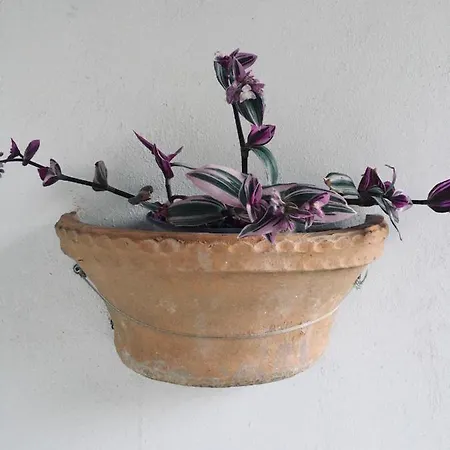Wabi Sabi