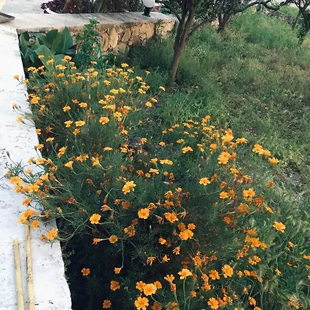 Wabi Sabi Katastarion