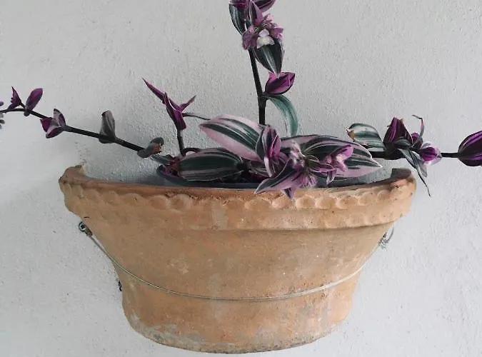 Wabi Sabi