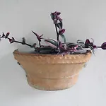 Wabi Sabi